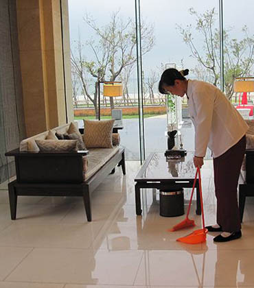 Skylyservice Cleaning service